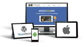 如何选择专业的网页设计服务 从公司到自由职业者的全面指南